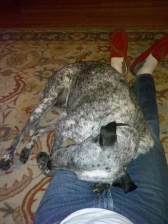 2012-04-12_20-49-25_508.jpg