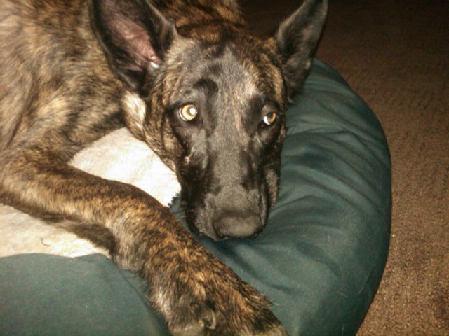 Sadie able to get one eye open