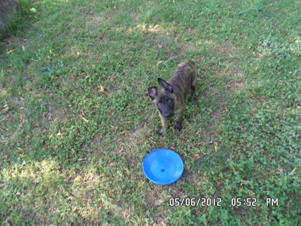 05-05-12 089.jpg