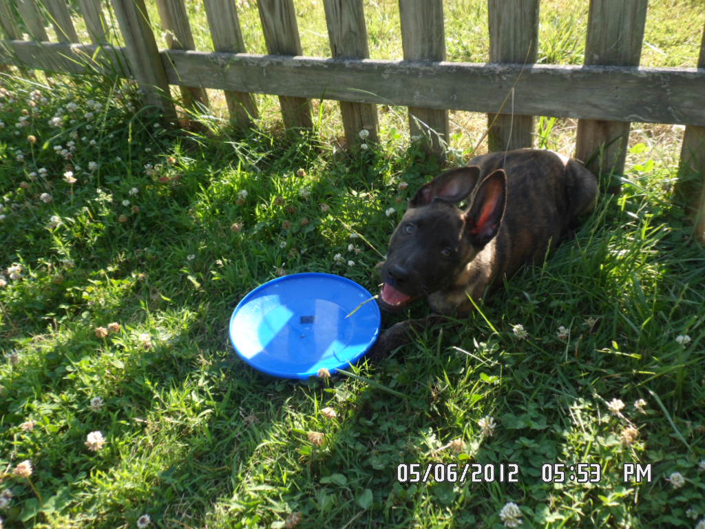 05-05-12 092.jpg
