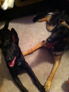 Gunner and Kilo
