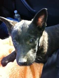 Coming Home!