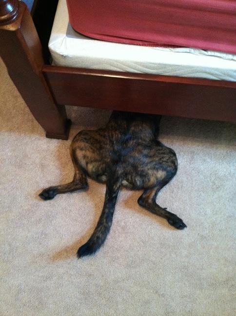hiding