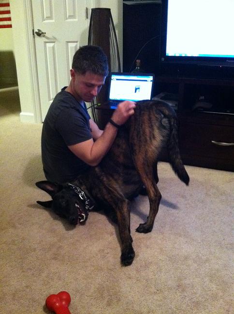 crazy dog