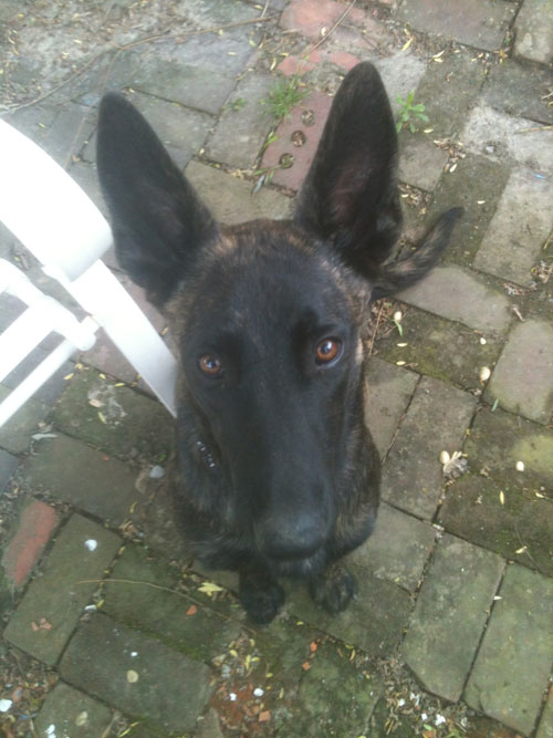 Rocky!