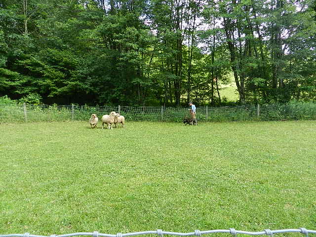 DSCN0246.JPG