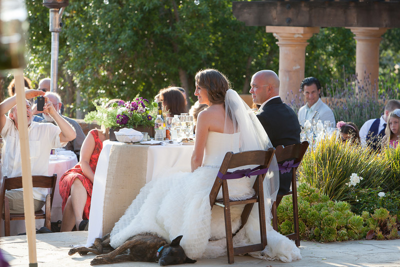 Loki at our wedding2.jpg