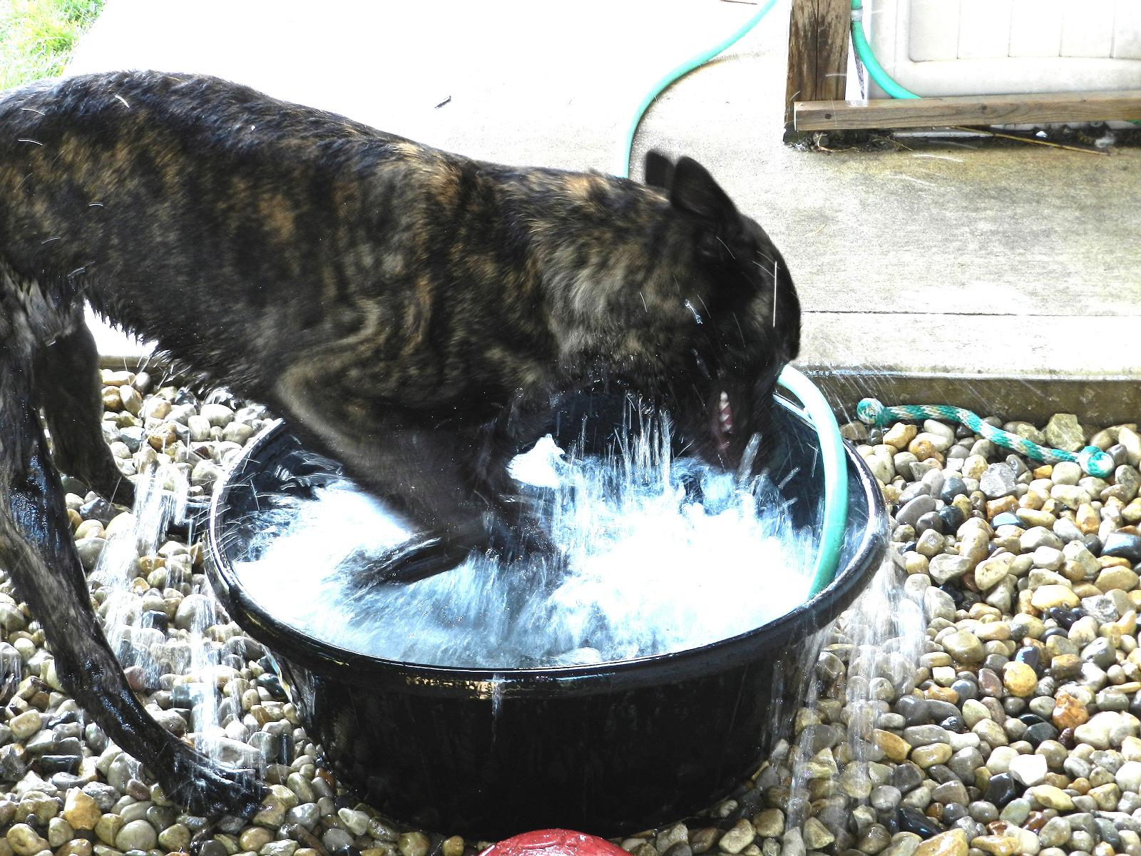 DSCN0737.JPG