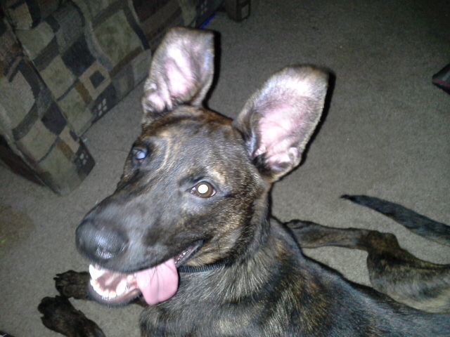 20130104_030846.jpg