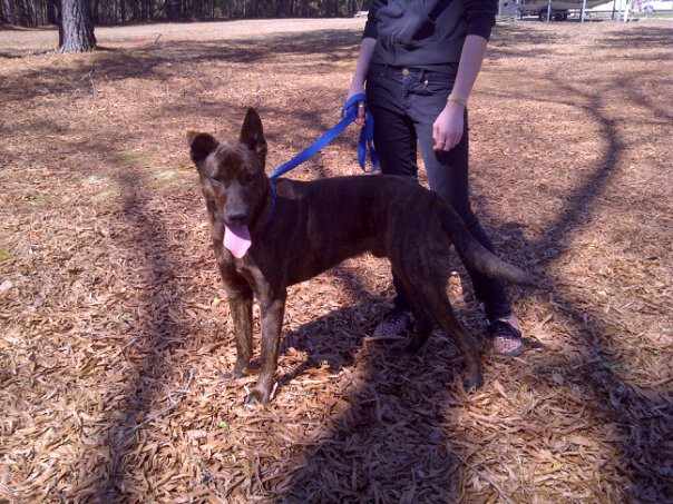 Rex