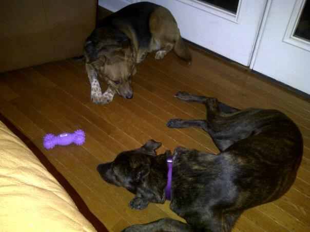Rex and Leah
