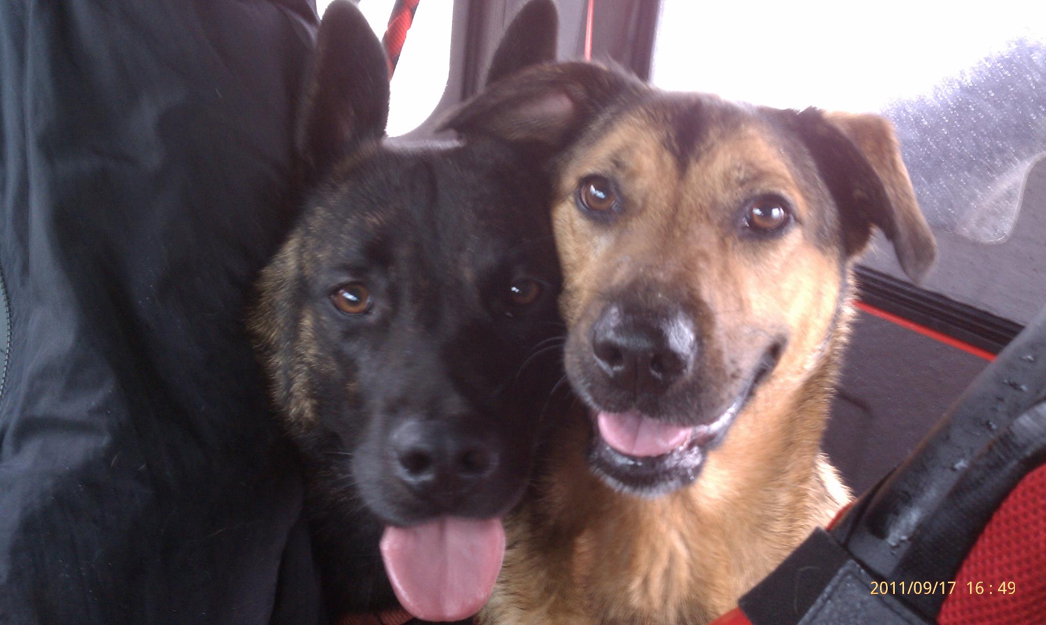 Riding in the Jeep