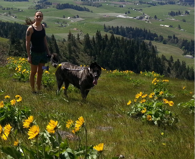 Koda_WildFlowers.jpg