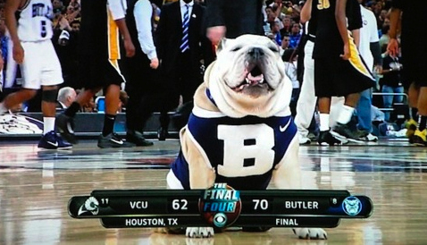 Blue_final_vcu.jpg