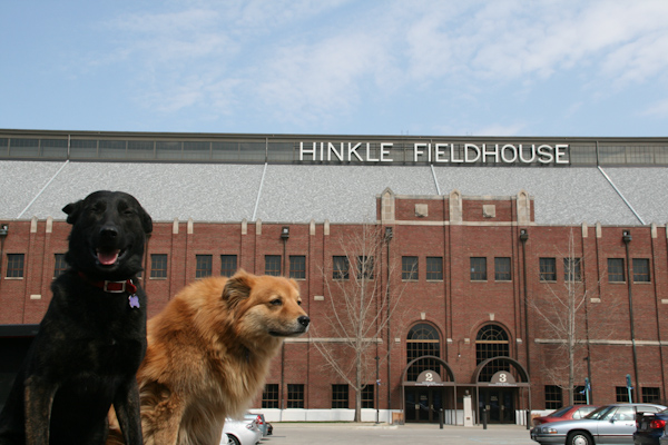 BU_final_four_2011_Hinkle.jpg