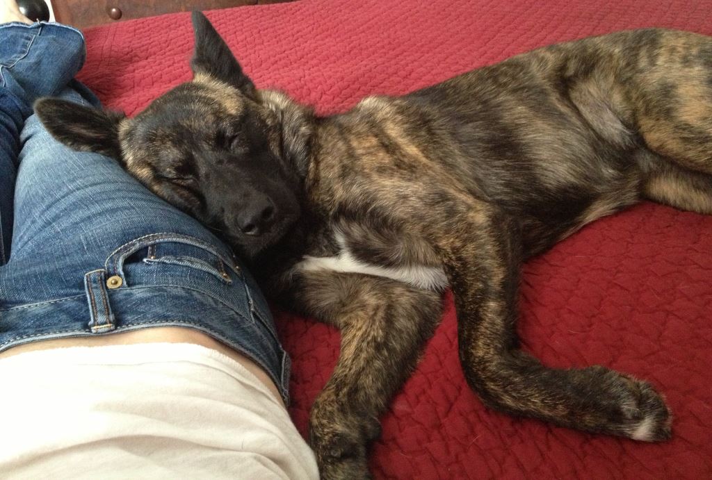 Sleepy_Hilde.jpg