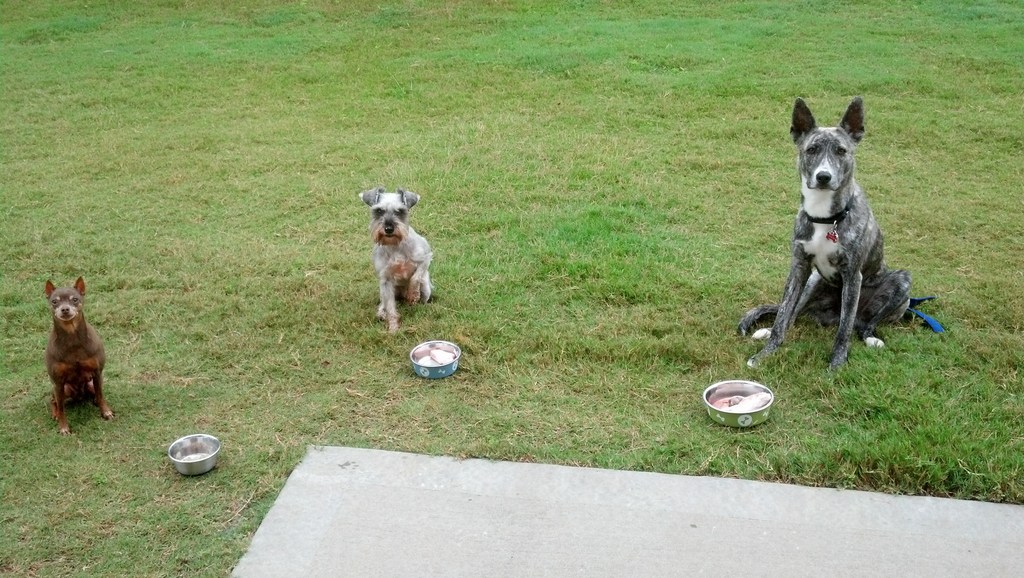 1-feeding time-001.jpg