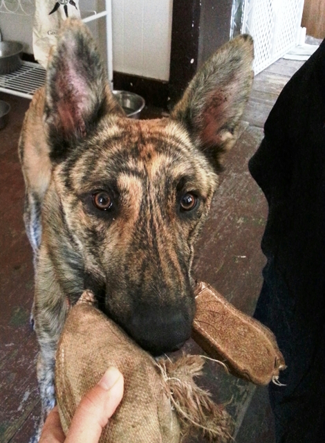 PLAY?