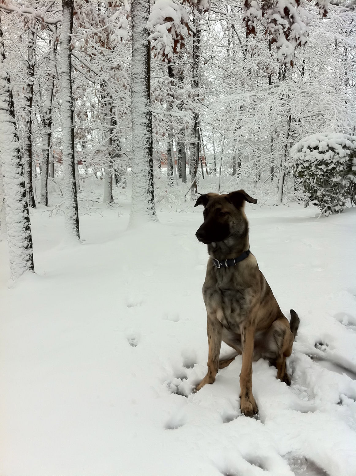 during our storm