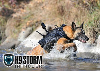 war-dog-6.jpg