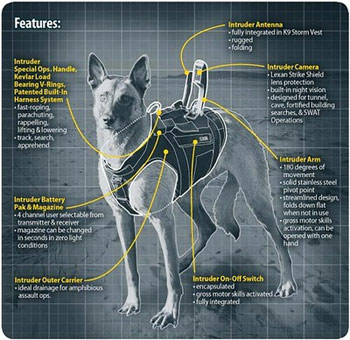 war-dog-8.jpg