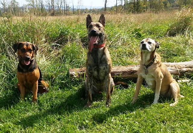 20130921_130236-1.jpg