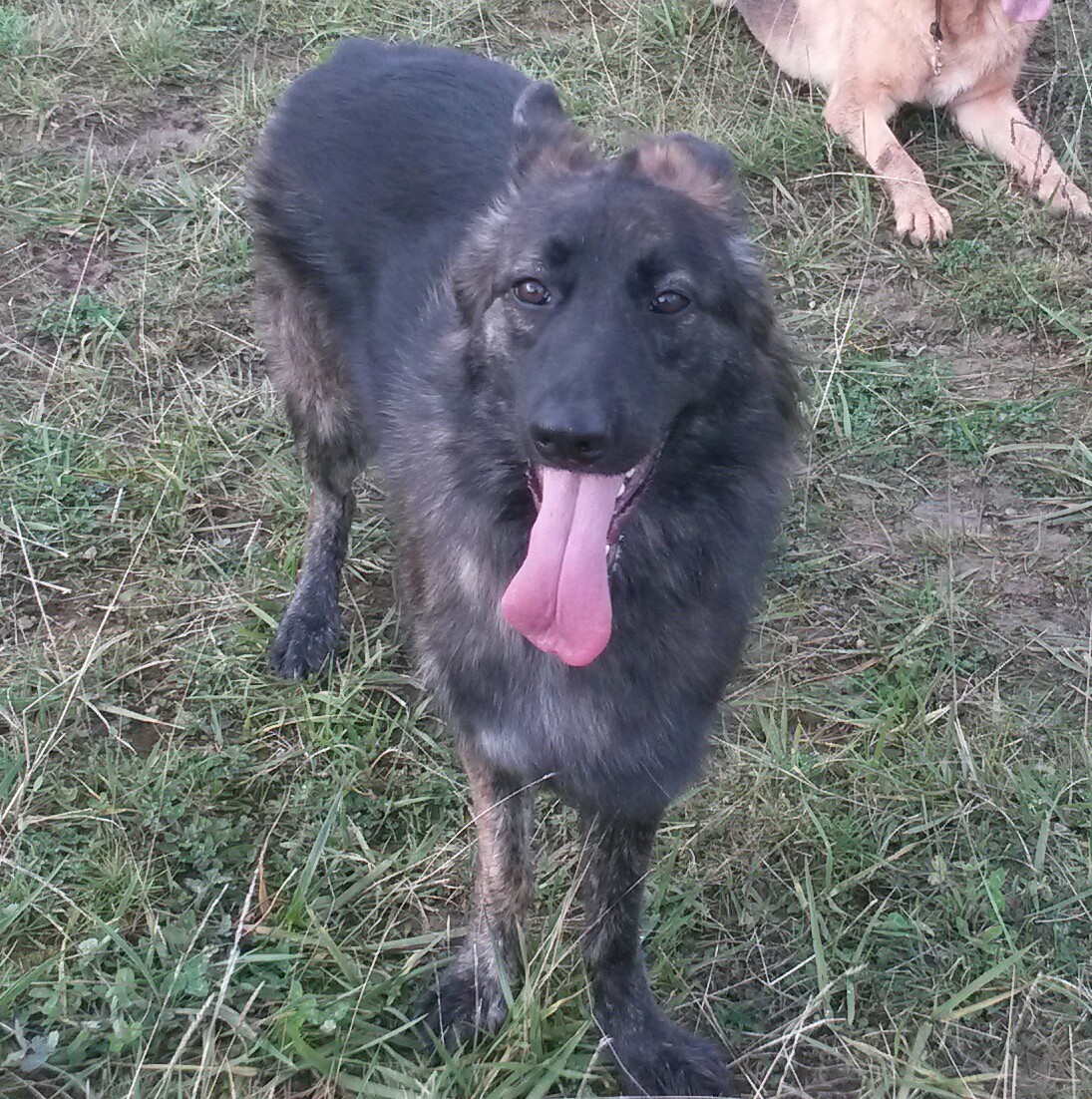 20131026_144149-1.jpg