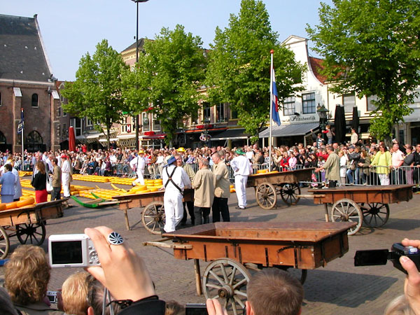 qd_dsf-13.jpg