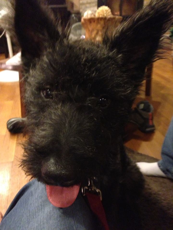 cooper3.jpg