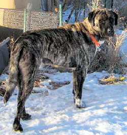 Clyde1of2.jpg