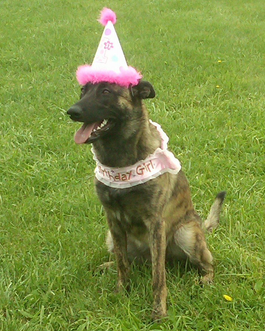 Letty's 1st Birthday