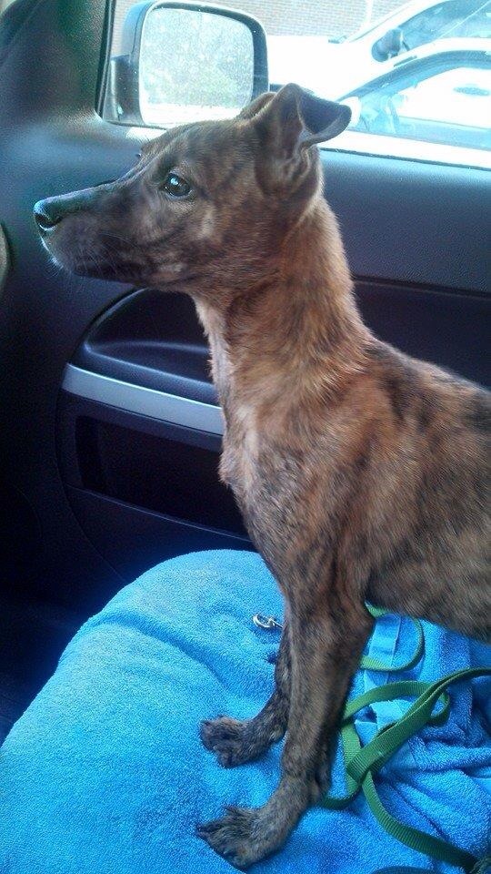 Freedom ride