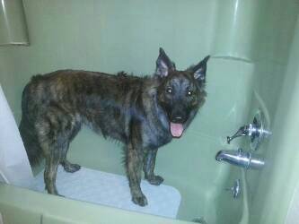 shower.jpg