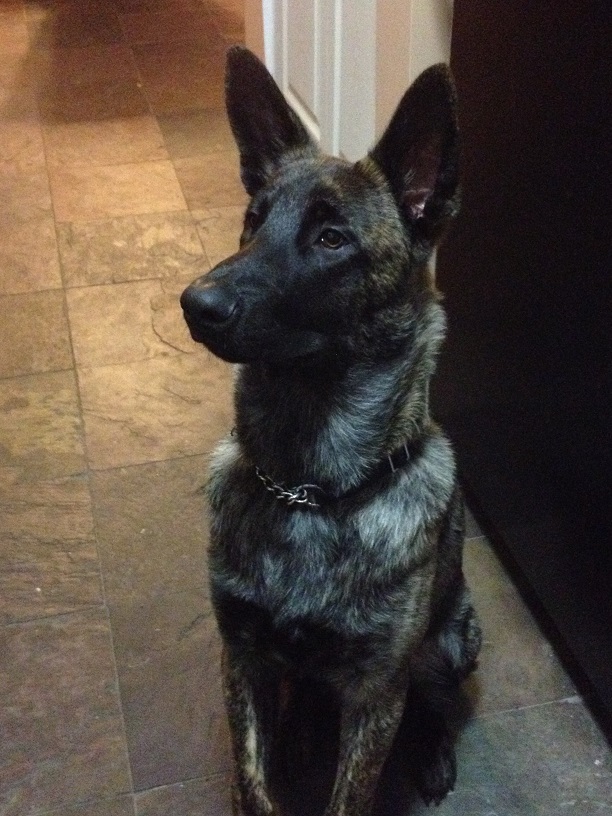 Cole at 7 months!