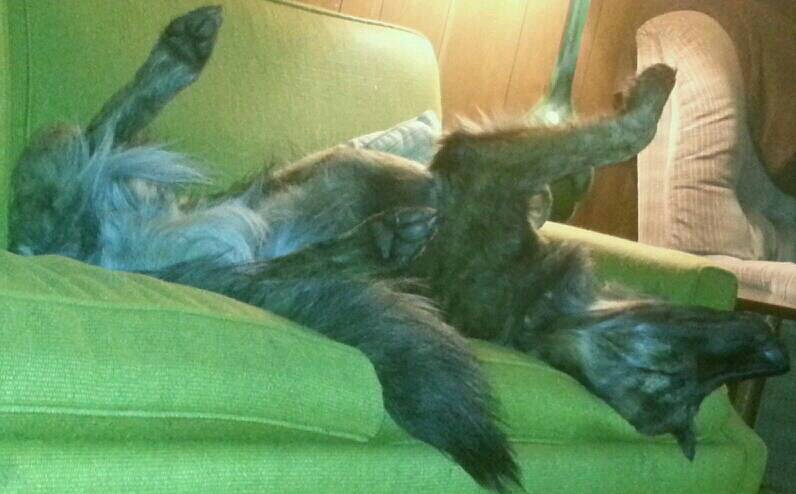 img20140602_183911.jpg