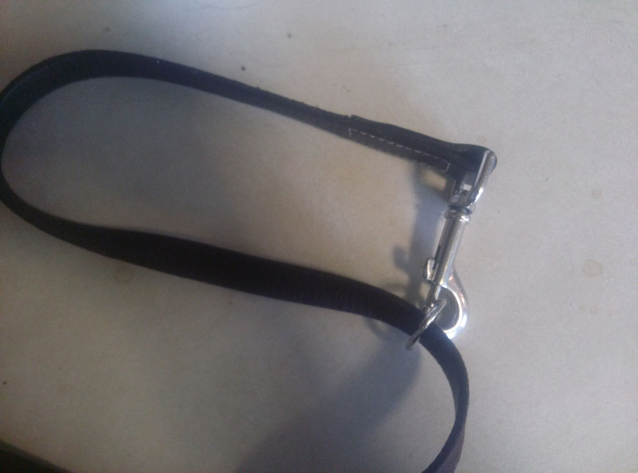 dog-collar.jpg