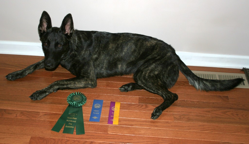 Cara - MDMB - 3rd Group - home.resized.jpg