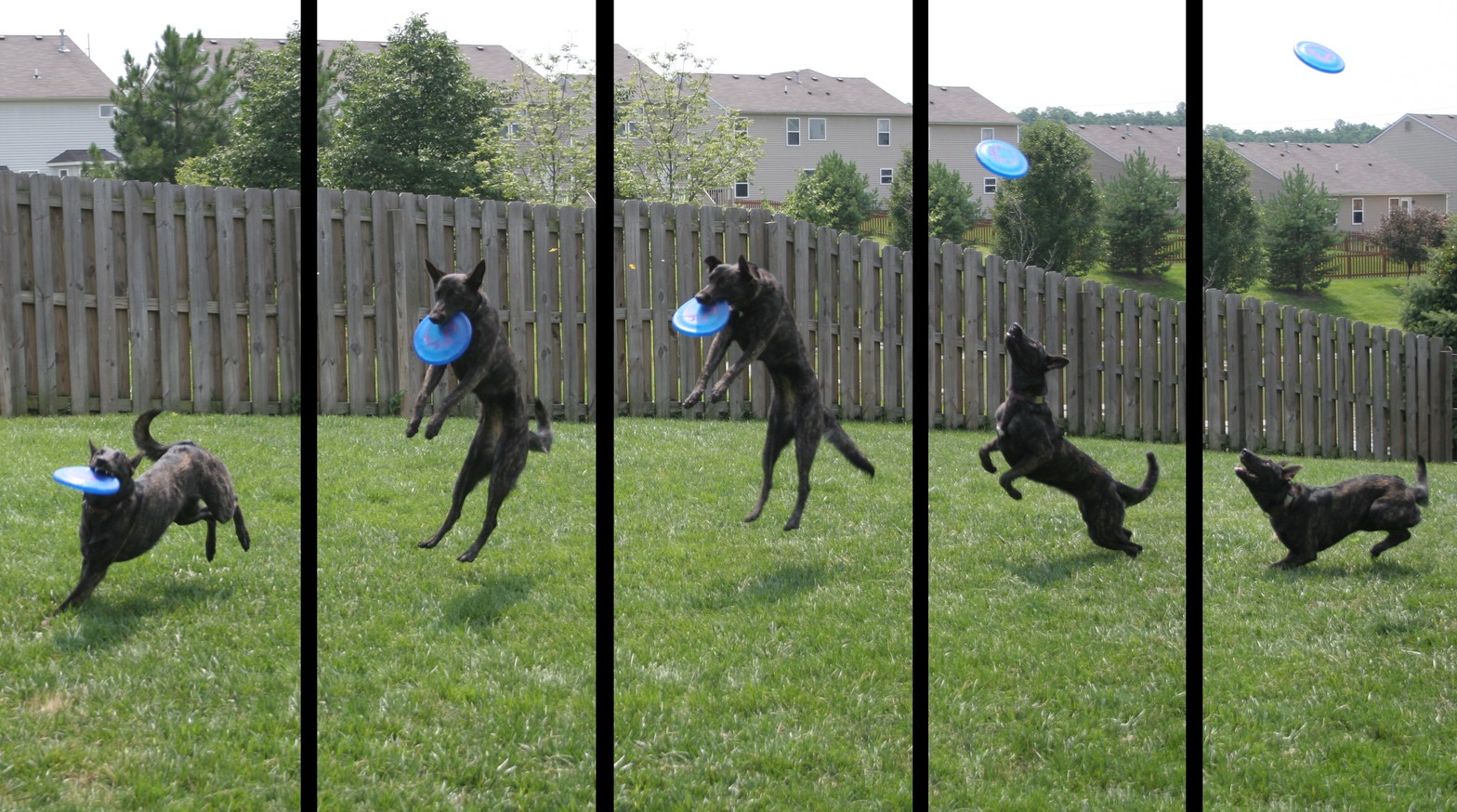 jump4_16x9.resized.jpg