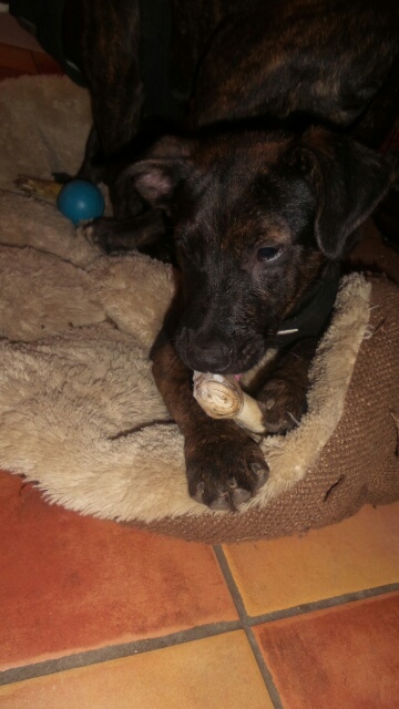 14071922407527.jpg