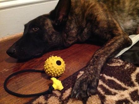 Someone is pouting!