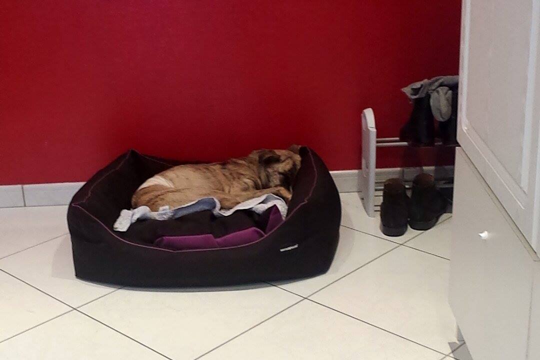 maya photos