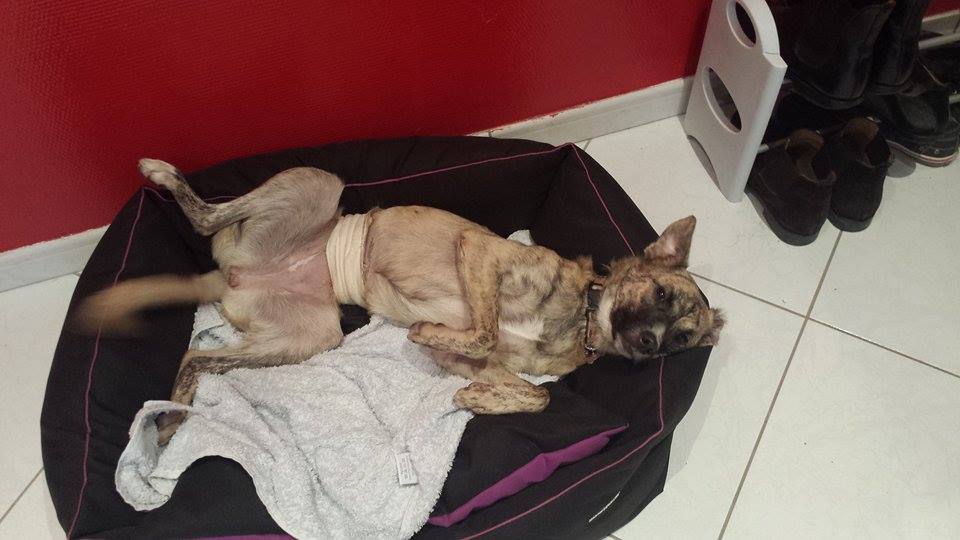 maya legs up.jpg