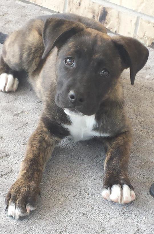 Bailey 9.8.14.jpg