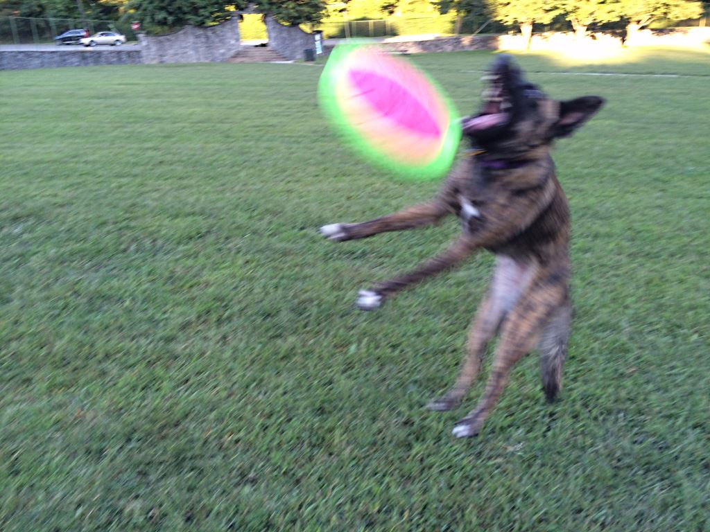 _Close.JPG