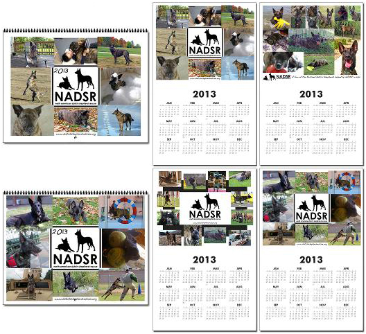 2013 NADSR Calendar examples