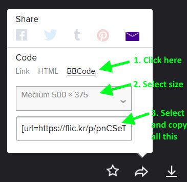 flikr_share.jpg