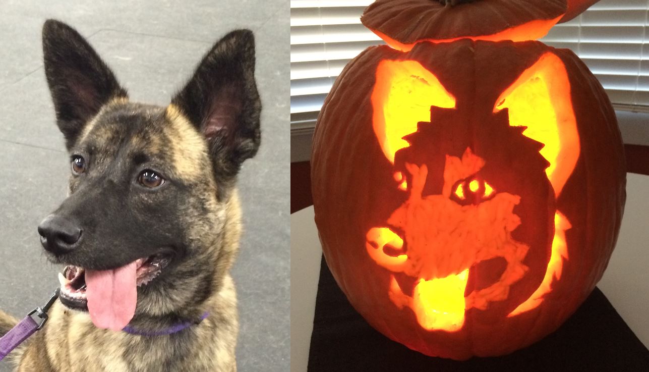 Hilde-O-Lantern2.JPG