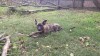 IMG_243281685632118.jpeg