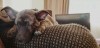 IMG_243720113446690.jpeg