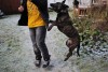 IMG_0278copy2.jpg